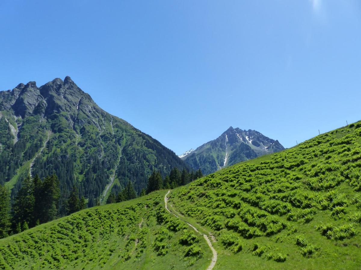 Alpinresortmontafon Garni 加尔盖伦 外观 照片