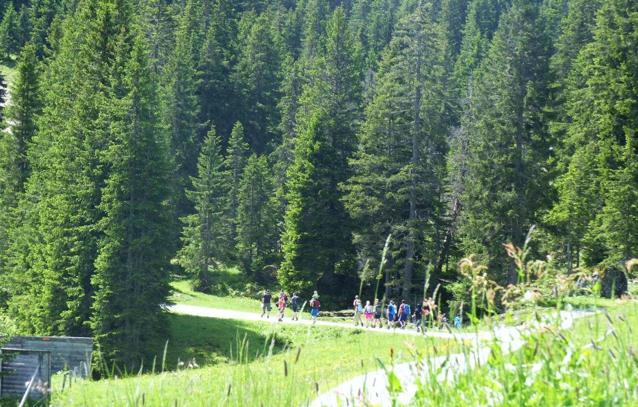 Alpinresortmontafon Garni 加尔盖伦 外观 照片
